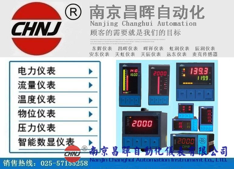 東輝儀表DY21ZE、DY22ZE、DY26ZE、DY28ZE、DY29ZE、DY2000單電量顯示儀