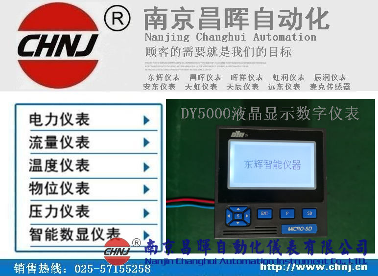 DY21ZL、DY22ZL00、DY59ZL60、DY5000（ZL）液晶顯示數(shù)字儀表